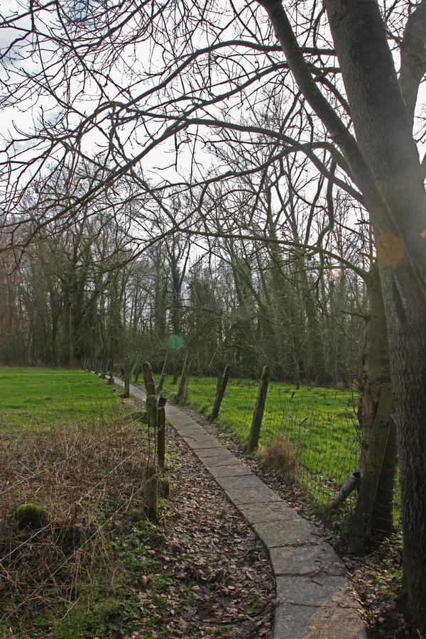 B&B Dotter 17 Erpe-Mere Exterior foto