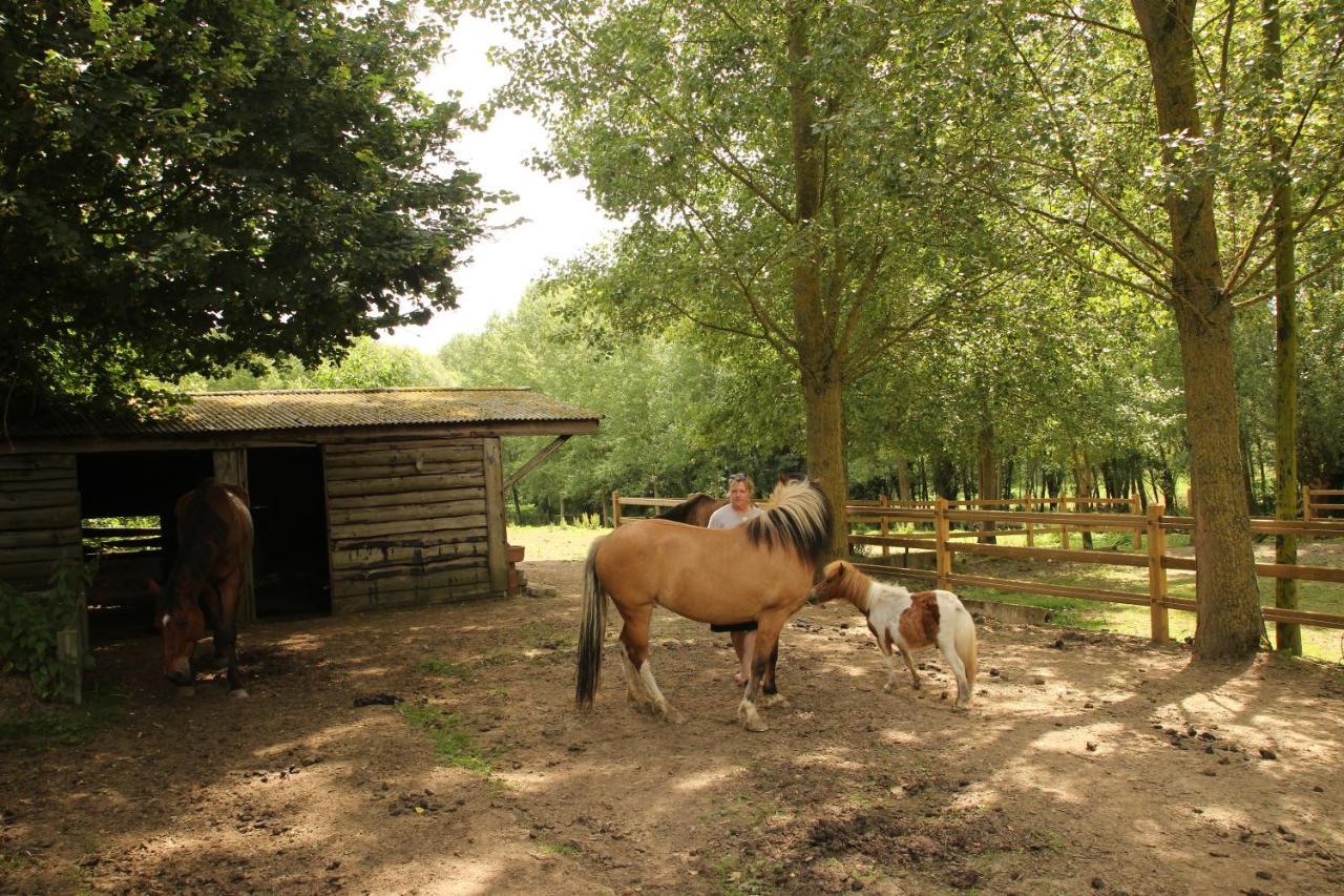 B&B Dotter 17 Erpe-Mere Exterior foto